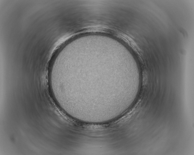 X0000111441164200908031346