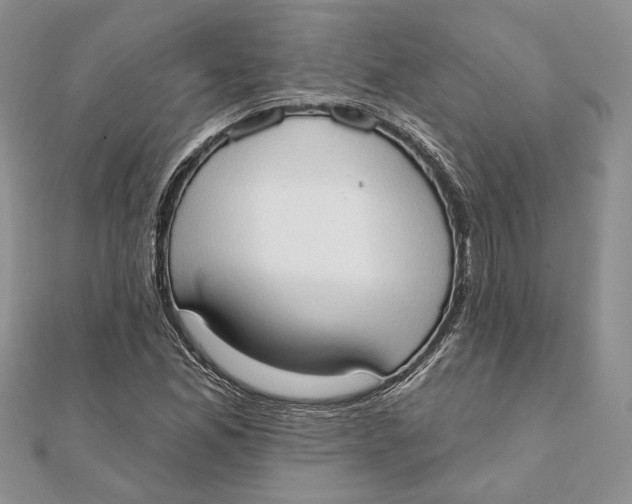 X0000111441165200908031346