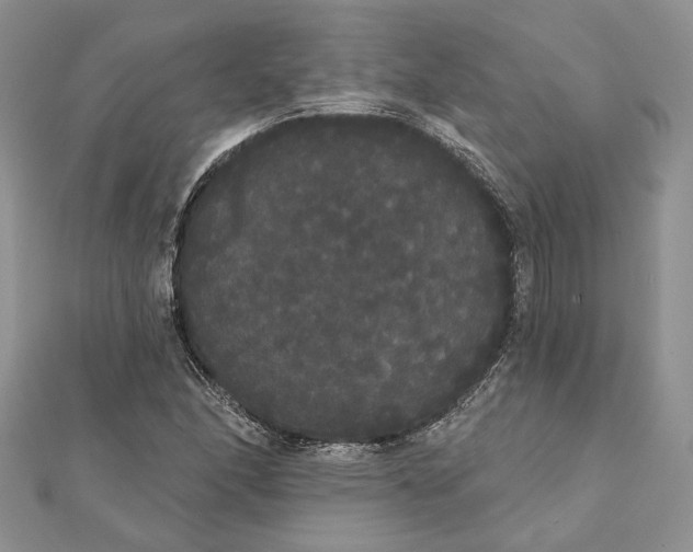 X0000111441166200908031346