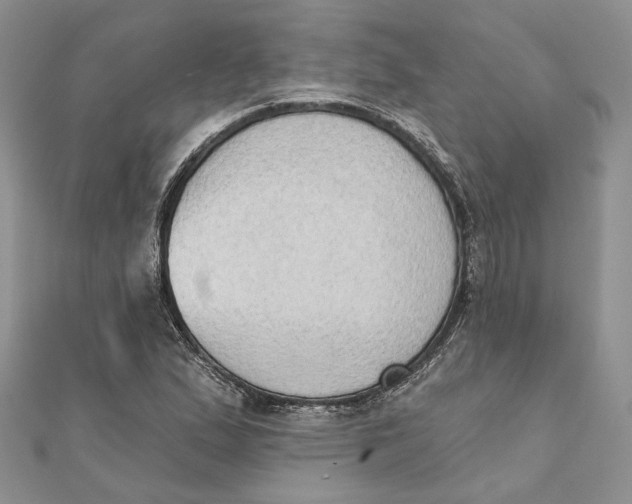 X0000111441167200908031346