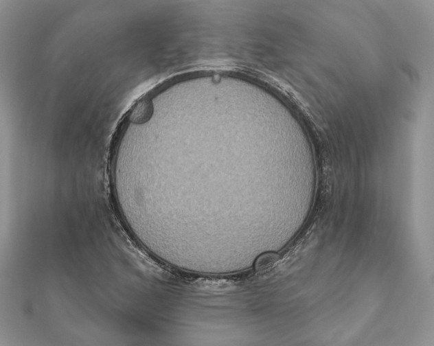 X0000111441168200908031346