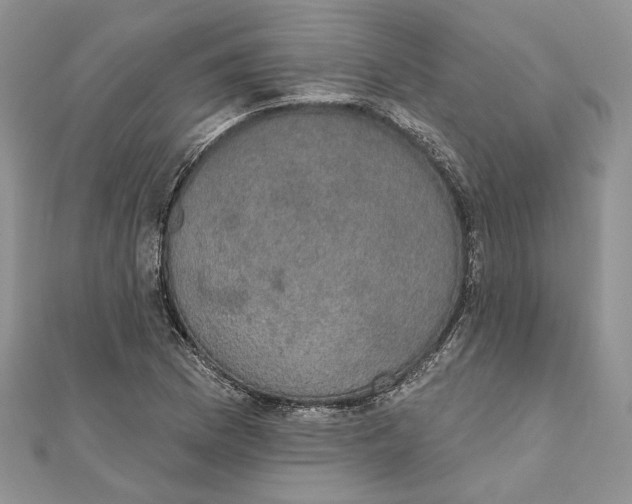 X0000111441169200908031346