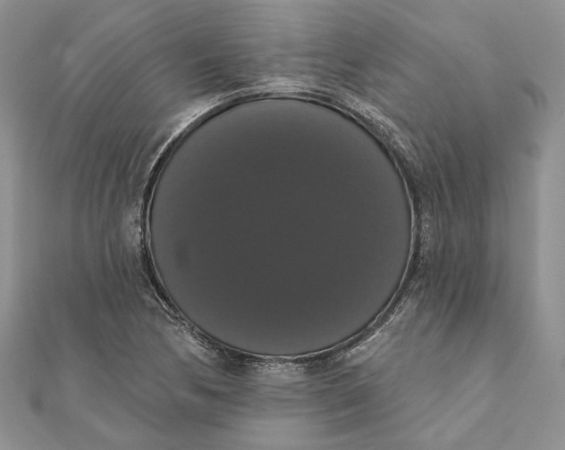 X0000111441170200908031346