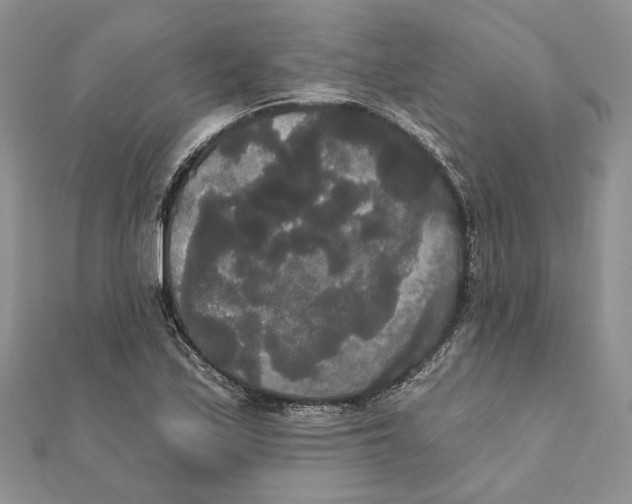 X0000111441171200908031346