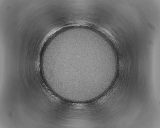 X0000111441172200908031346