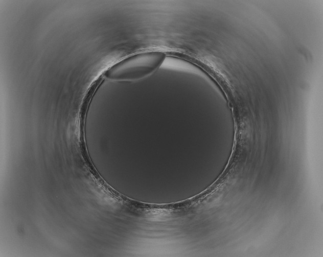 X0000111441173200908031346