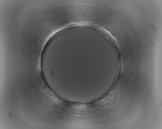 X0000111441174200908031346