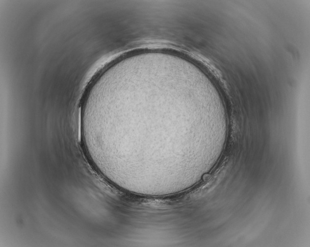 X0000111441175200908031346