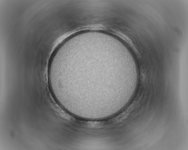 X0000111441176200908031346