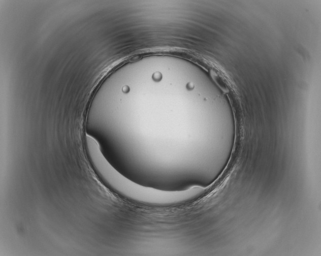 X0000111441177200908031346