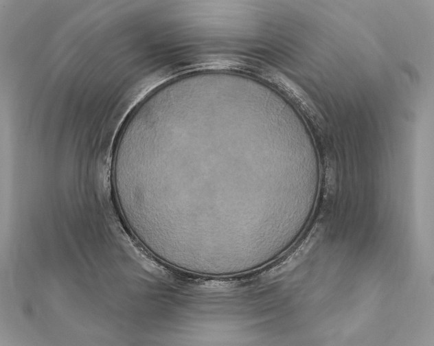 X0000111441178200908031346