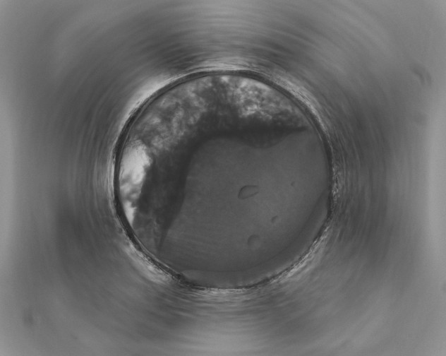 X0000111441179200908031346