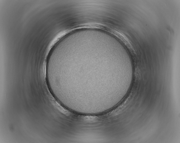 X0000111441180200908031346