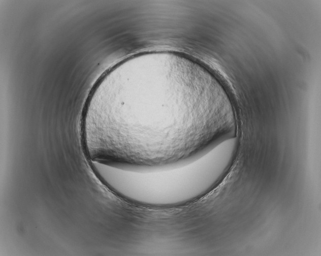 X0000111441181200908031346