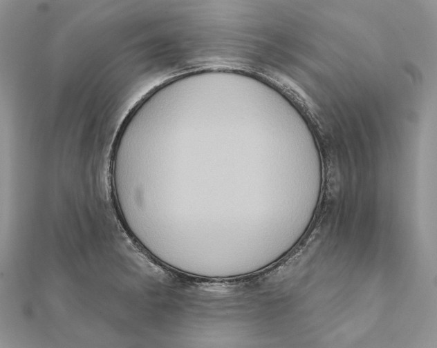 X0000111441182200908031346