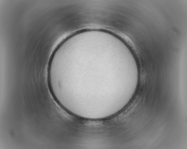 X0000111441183200908031346