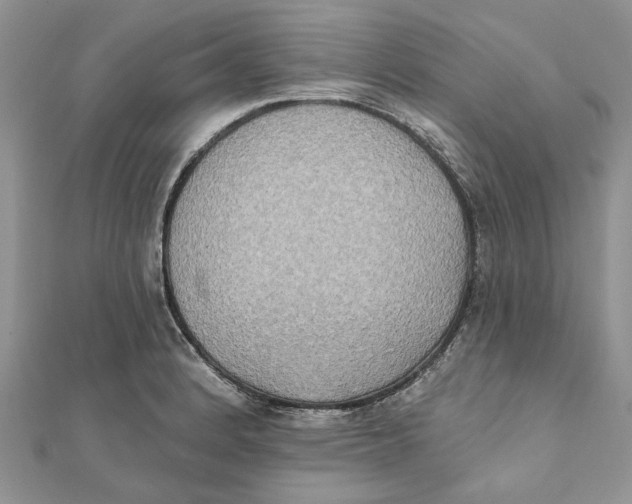 X0000111441184200908031346