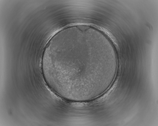 X0000111441185200908031346