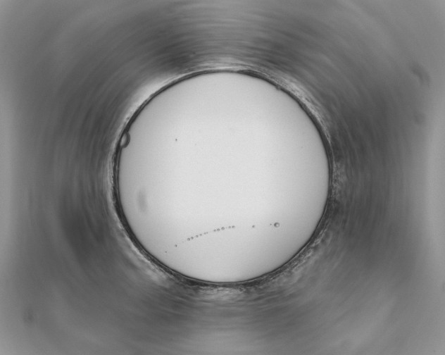 X0000111441187200908031346