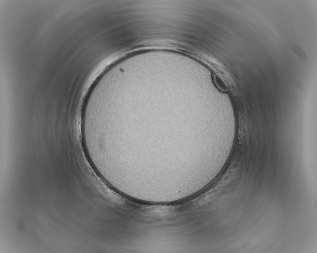 X0000111441188200908031346