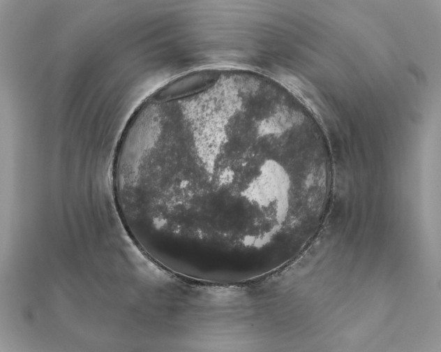 X0000111441189200908031346