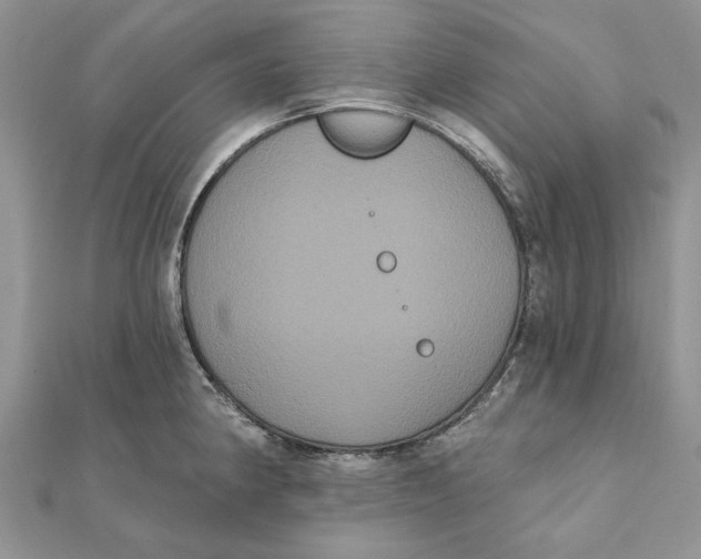 X0000111441190200908031346