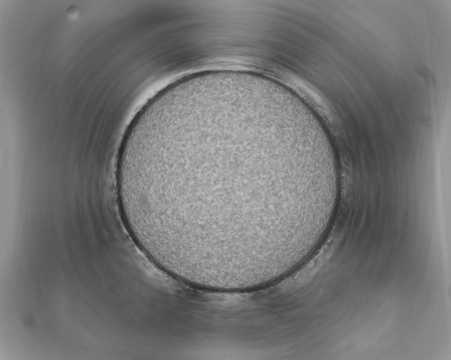 X0000111441192200908031346