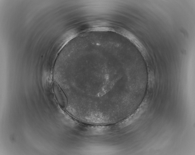 X0000111441193200908031346