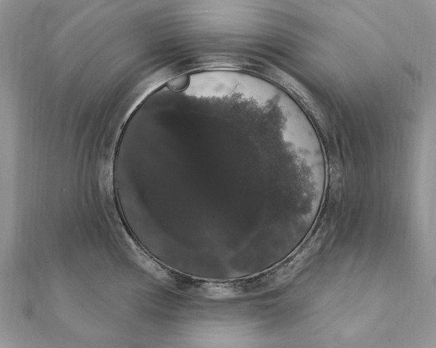 X0000111441194200908031346