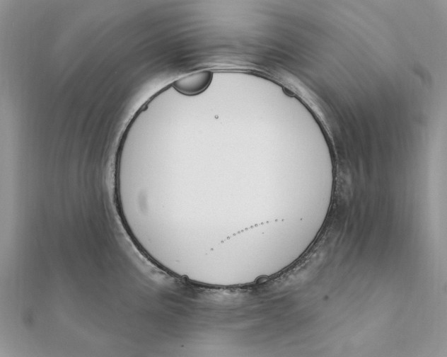 X0000111441195200908031346