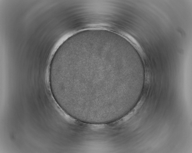 X0000111441196200908031346