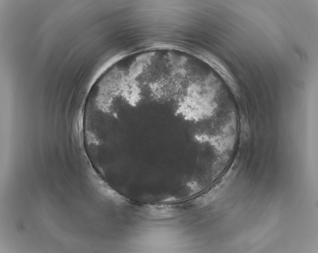 X0000111441198200908031346