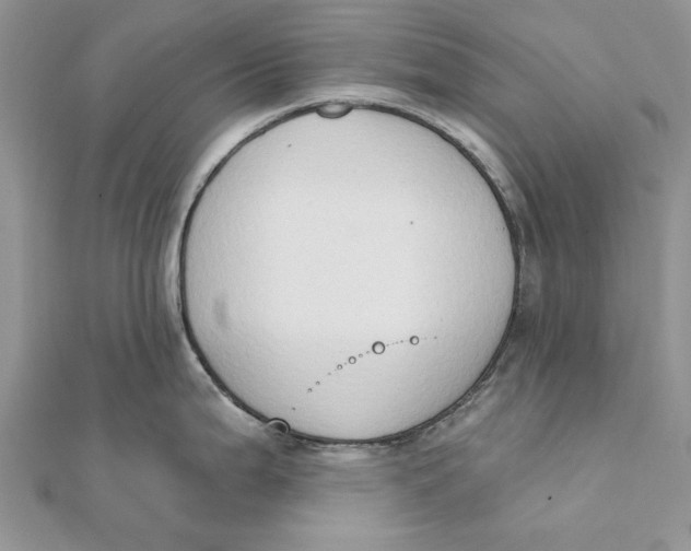 X0000111441199200908031346