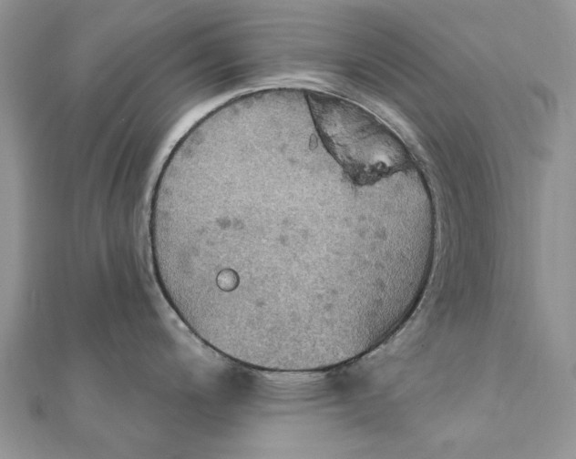 X0000111441200200908031346