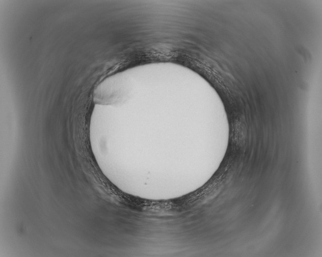 X0000111441201200908031345