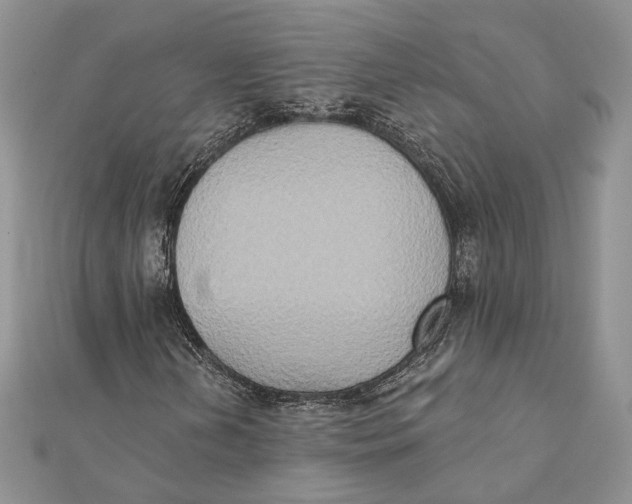 X0000111441202200908031345