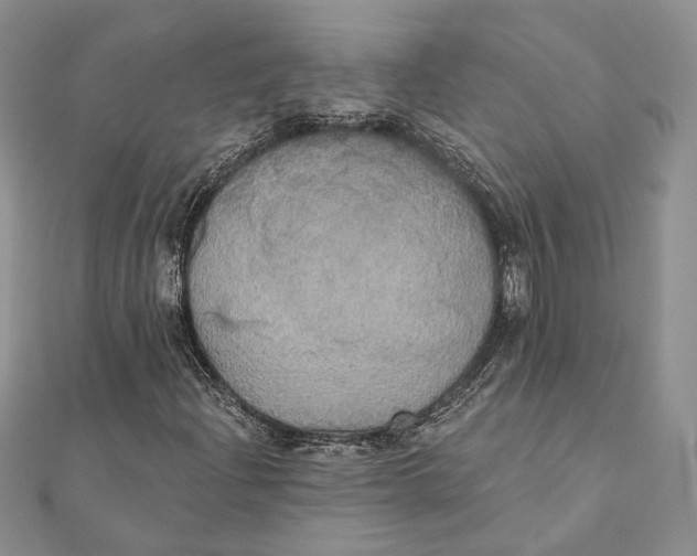 X0000111441204200908031345