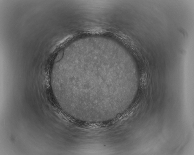 X0000111441205200908031345