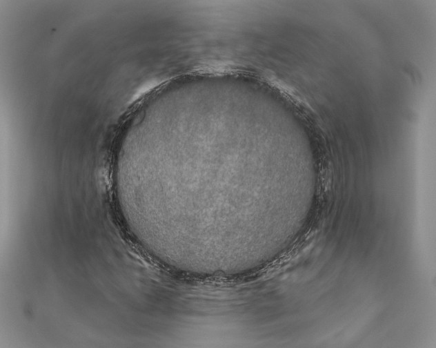 X0000111441206200908031345