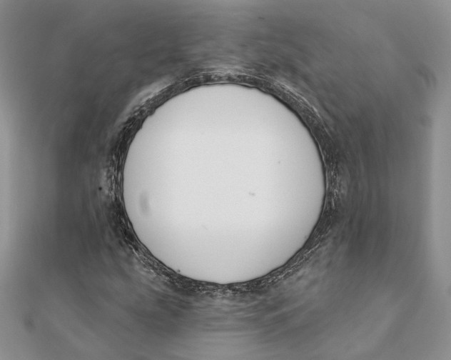 X0000111441207200908031345