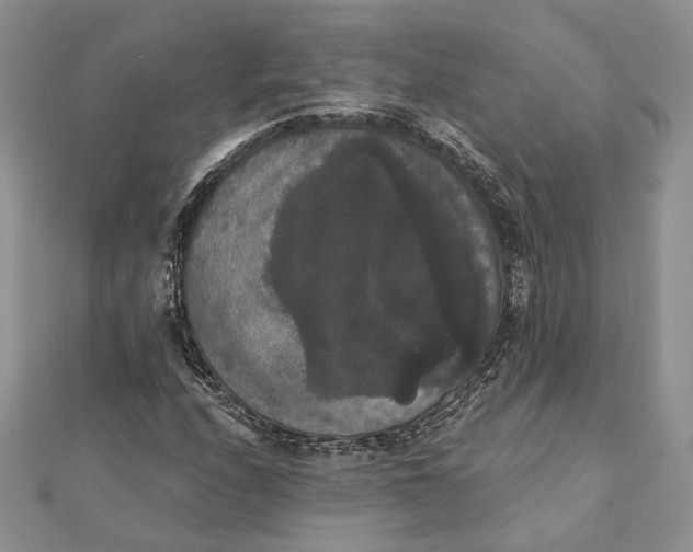 X0000111441208200908031345