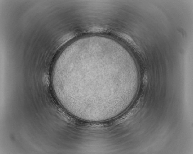 X0000111441209200908031345