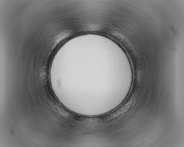 X0000111441210200908031345