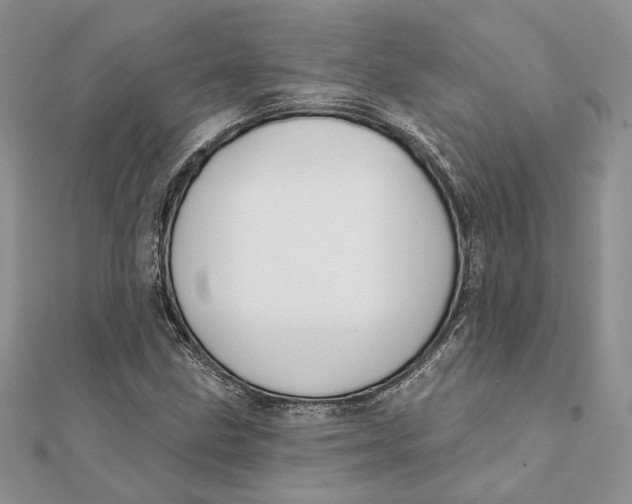 X0000111441211200908031346