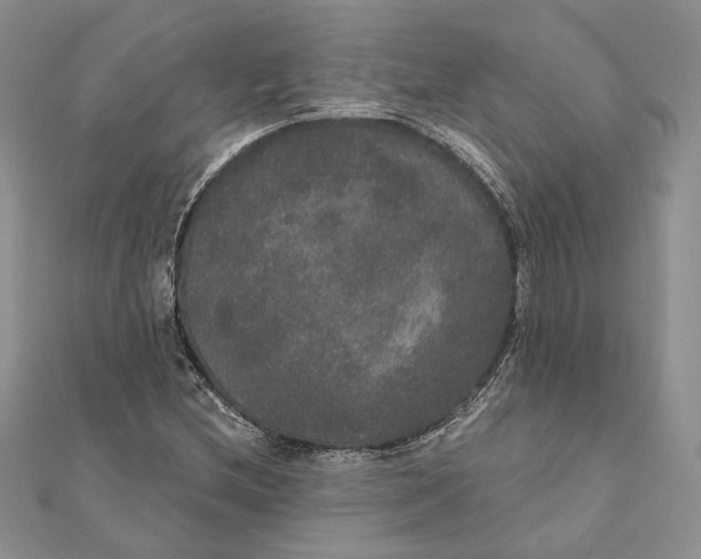 X0000111441212200908031346