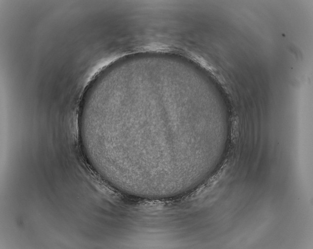 X0000111441214200908031346