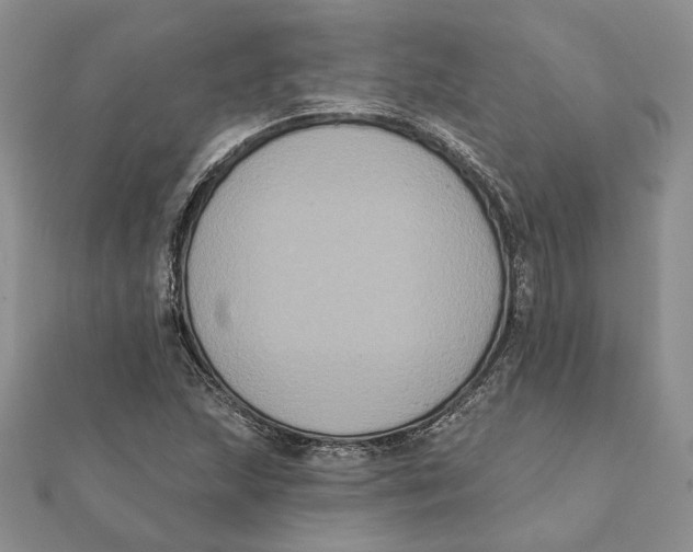 X0000111441215200908031346