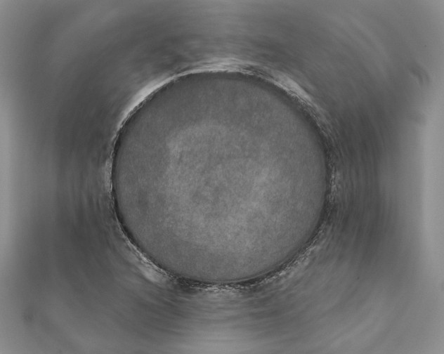 X0000111441216200908031346