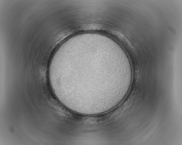 X0000111441217200908031346