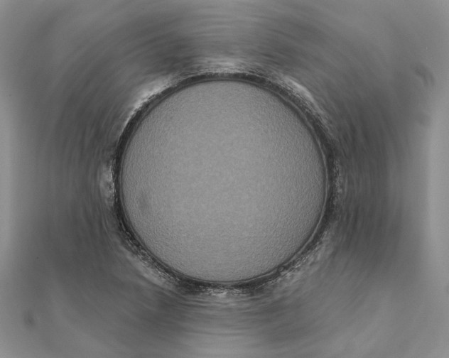 X0000111441218200908031346